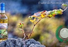 Aguardente de Figo vale Prata – Produto aperfeiçoado ao longo de 25 anos conquista paladares nacionais no QUALIFICA oriGIn Portugal DR/ José Feliciano