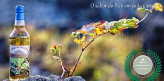 Aguardente de Figo vale Prata – Produto aperfeiçoado ao longo de 25 anos conquista paladares nacionais no QUALIFICA oriGIn Portugal DR/ José Feliciano