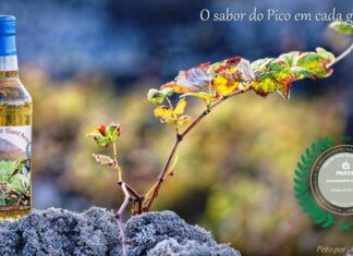 Aguardente de Figo vale Prata – Produto aperfeiçoado ao longo de 25 anos conquista paladares nacionais no QUALIFICA oriGIn Portugal DR/ José Feliciano