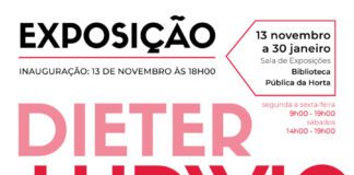 Biblioteca Pública João José da Graça, na Horta, inaugura exposição de Dieter Ludwing DR/GACS