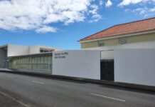 Diretora da Escola do Mar quer “repor a verdade” DR