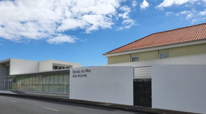 Diretora da Escola do Mar quer “repor a verdade” DR