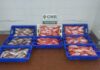 Ilha Terceira – Doação de 140 quilos de pescado DR