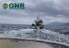 Canal da ilha do Pico e S. Jorge – Apreensão de 127 quilos de pescado capturado ilegalmente GNR Açores - Apreensão de pescado