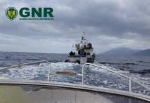 Canal da ilha do Pico e S. Jorge – Apreensão de 127 quilos de pescado capturado ilegalmente GNR Açores - Apreensão de pescado
