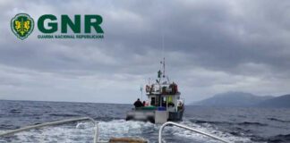 Canal da ilha do Pico e S. Jorge – Apreensão de 127 quilos de pescado capturado ilegalmente GNR Açores - Apreensão de pescado