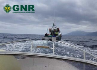 Canal da ilha do Pico e S. Jorge – Apreensão de 127 quilos de pescado capturado ilegalmente GNR Açores - Apreensão de pescado