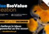 RUMO A UMA ECONOMIA AZUL – Açores recebem programa de ideação Blue Bio Value