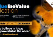 RUMO A UMA ECONOMIA AZUL – Açores recebem programa de ideação Blue Bio Value
