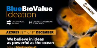 RUMO A UMA ECONOMIA AZUL – Açores recebem programa de ideação Blue Bio Value