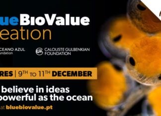 RUMO A UMA ECONOMIA AZUL – Açores recebem programa de ideação Blue Bio Value