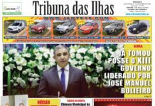 Capa da edição n.º 954 de 27 novembro 2020