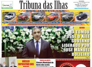 Capa da edição n.º 954 de 27 novembro 2020