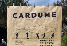 CARDUME – Um manifesto teatral colectivo DR/Teatro GIZ
