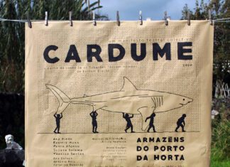 CARDUME – Um manifesto teatral colectivo DR/Teatro GIZ