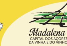 Município da Madalena Alerta Para Ameaça do Lixo Invisível