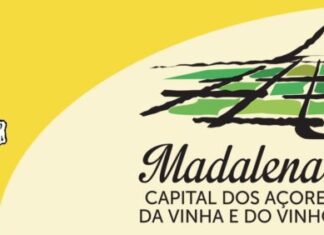 Município da Madalena Alerta Para Ameaça do Lixo Invisível