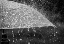 Alerta Proteção Civil – Previsão de chuva forte em todo o arquipélago dos Açores