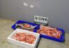 Ilha Terceira – Apreensão de 40 quilos de pescado DR/GNR