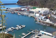 Governo dos Açores adjudica obra de requalificação e modernização do Entreposto Frigorífico de Vila do Porto, em Santa Maria DR