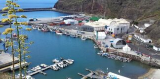 Governo dos Açores adjudica obra de requalificação e modernização do Entreposto Frigorífico de Vila do Porto, em Santa Maria DR