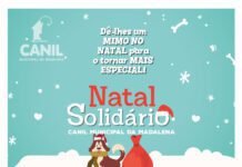 Canil Municipal da Madalena Promove Campanha de Recolha de Brinquedos e Alimentos DR/CMM