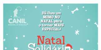 Canil Municipal da Madalena Promove Campanha de Recolha de Brinquedos e Alimentos DR/CMM