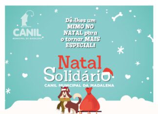 Canil Municipal da Madalena Promove Campanha de Recolha de Brinquedos e Alimentos DR/CMM