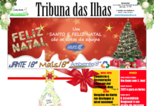 Capa da edição n.º 958 de 23 dezembro 2020 TI
