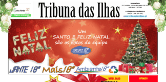 Capa da edição n.º 958 de 23 dezembro 2020 TI