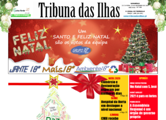 Capa da edição n.º 958 de 23 dezembro 2020 TI