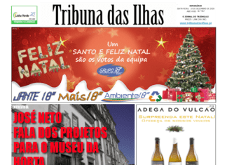Capa da edição n.º 957 de 18 dezembro 2020 TI