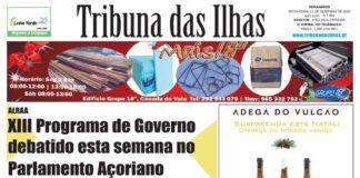 Capa da edição n.º 956 de 11 dezembro 2020 TI
