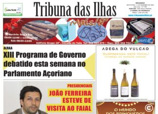 Capa da edição n.º 956 de 11 dezembro 2020 TI