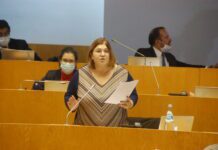 BE quer acabar com a “vergonha do abate de animais saudáveis” e impedir incineradora de S. Miguel DR/BE