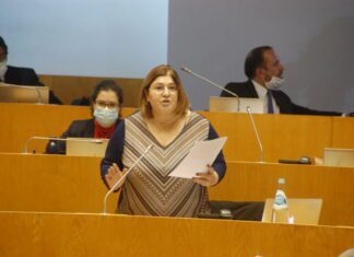 BE quer acabar com a “vergonha do abate de animais saudáveis” e impedir incineradora de S. Miguel DR/BE