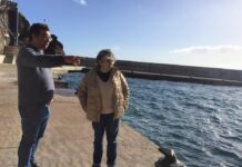 Deputada do PS/Açores destaca importância do investimento no Porto do Topo e acusa o PSD “de faltar à verdade” DR/PS