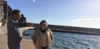 Deputada do PS/Açores destaca importância do investimento no Porto do Topo e acusa o PSD “de faltar à verdade” DR/PS