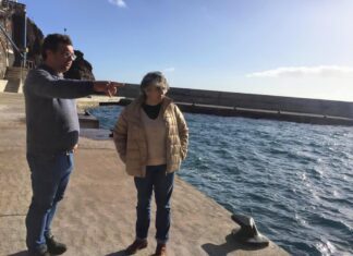 Deputada do PS/Açores destaca importância do investimento no Porto do Topo e acusa o PSD “de faltar à verdade” DR/PS