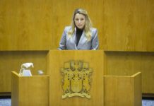 Programa do governo “enaltece legado socialista” no âmbito da cultura, ciência e transição digital DR/PS