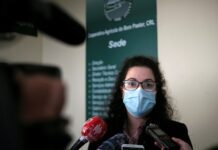 PS/Açores defende que no setor do leite “embora os mercados sejam livres nunca podem deixar de ser justos”