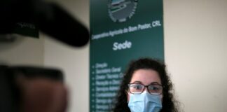 PS/Açores defende que no setor do leite “embora os mercados sejam livres nunca podem deixar de ser justos”