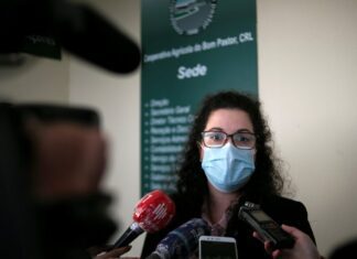 PS/Açores defende que no setor do leite “embora os mercados sejam livres nunca podem deixar de ser justos”