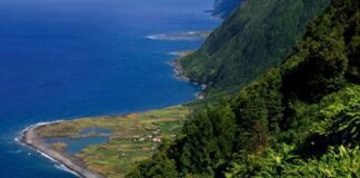 Fajãs de São Jorge distinguidas no Prémio Nacional da Paisagem de 2020 DR