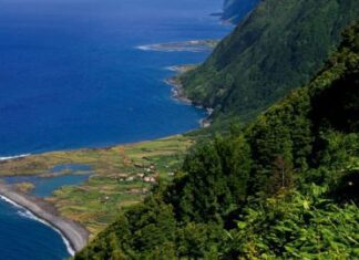 Fajãs de São Jorge distinguidas no Prémio Nacional da Paisagem de 2020 DR