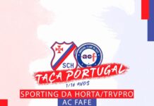 Andebol – Jogo em Fafe em estreia na Taça de Portugal DR