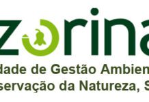 Reforma do Setor Público Empresarial Regional – PS/Faial critica PSD pelo encerramento da AZORINA DR