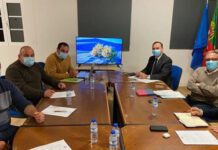 Governo Regional dos Açores assegura apoio aos sobrecustos de exportação de gado bovino das Flores DR/GACS