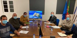 Governo Regional dos Açores assegura apoio aos sobrecustos de exportação de gado bovino das Flores DR/GACS