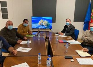 Governo Regional dos Açores assegura apoio aos sobrecustos de exportação de gado bovino das Flores DR/GACS